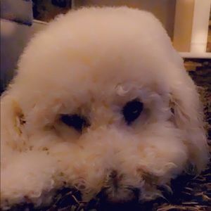 Meet your Posher, Kasidy